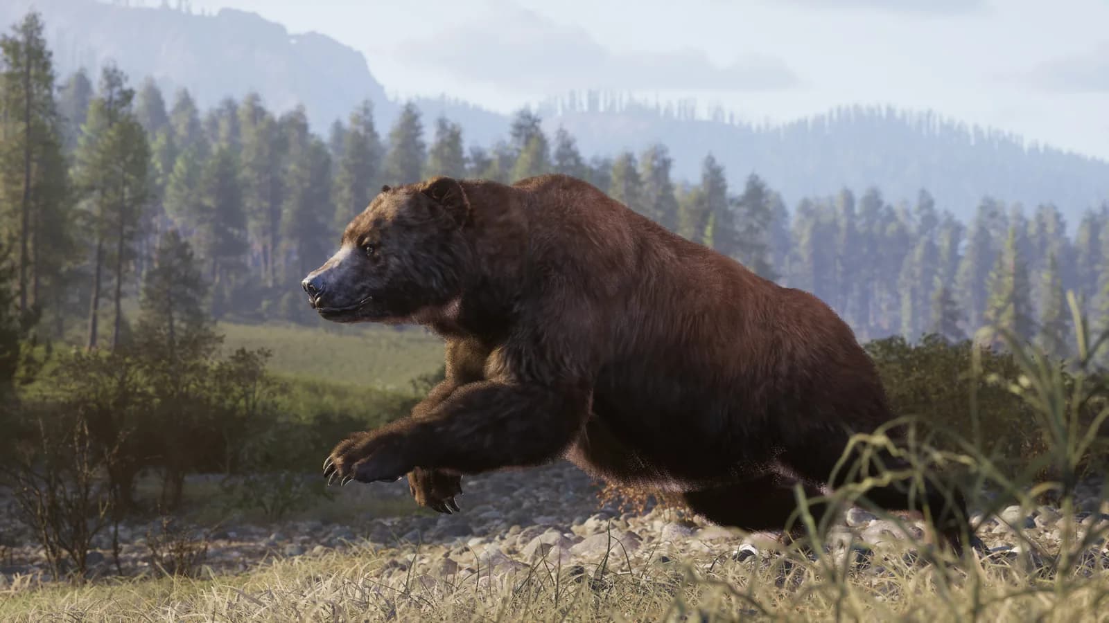 A bear walks through grass beside a shallow river in a forest.